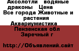 Аксолотли / водяные драконы › Цена ­ 500 - Все города Животные и растения » Аквариумистика   . Пензенская обл.,Заречный г.